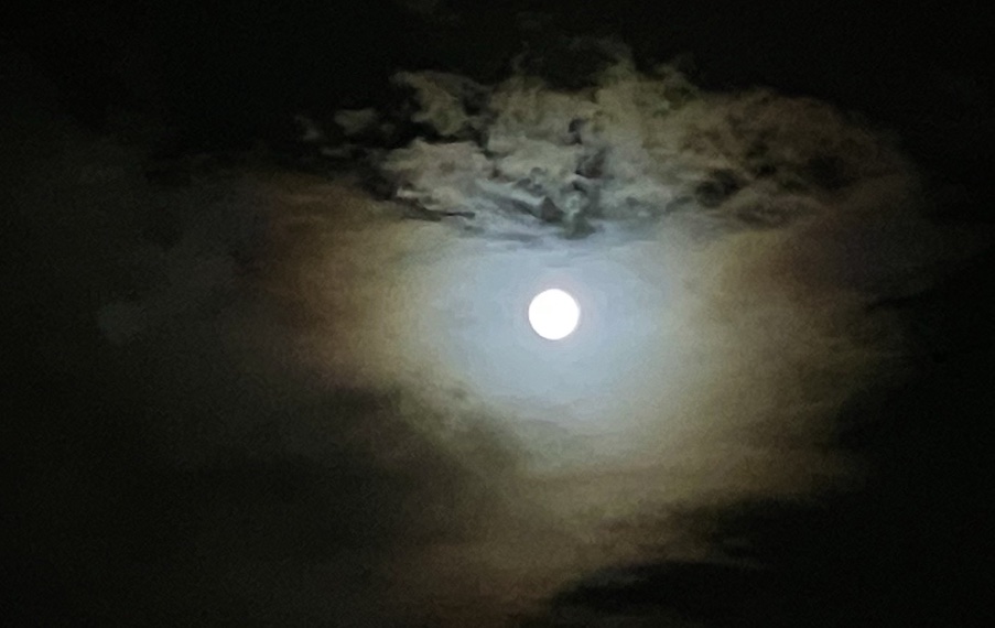 ✨  the Wesak Full Moon  🌝 ✨