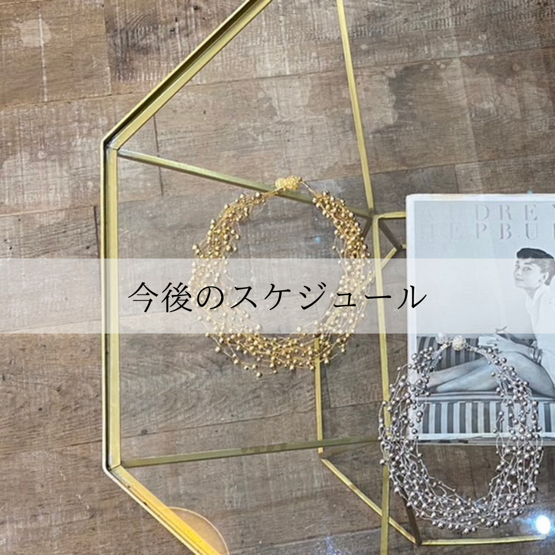 今後のスケジュール
