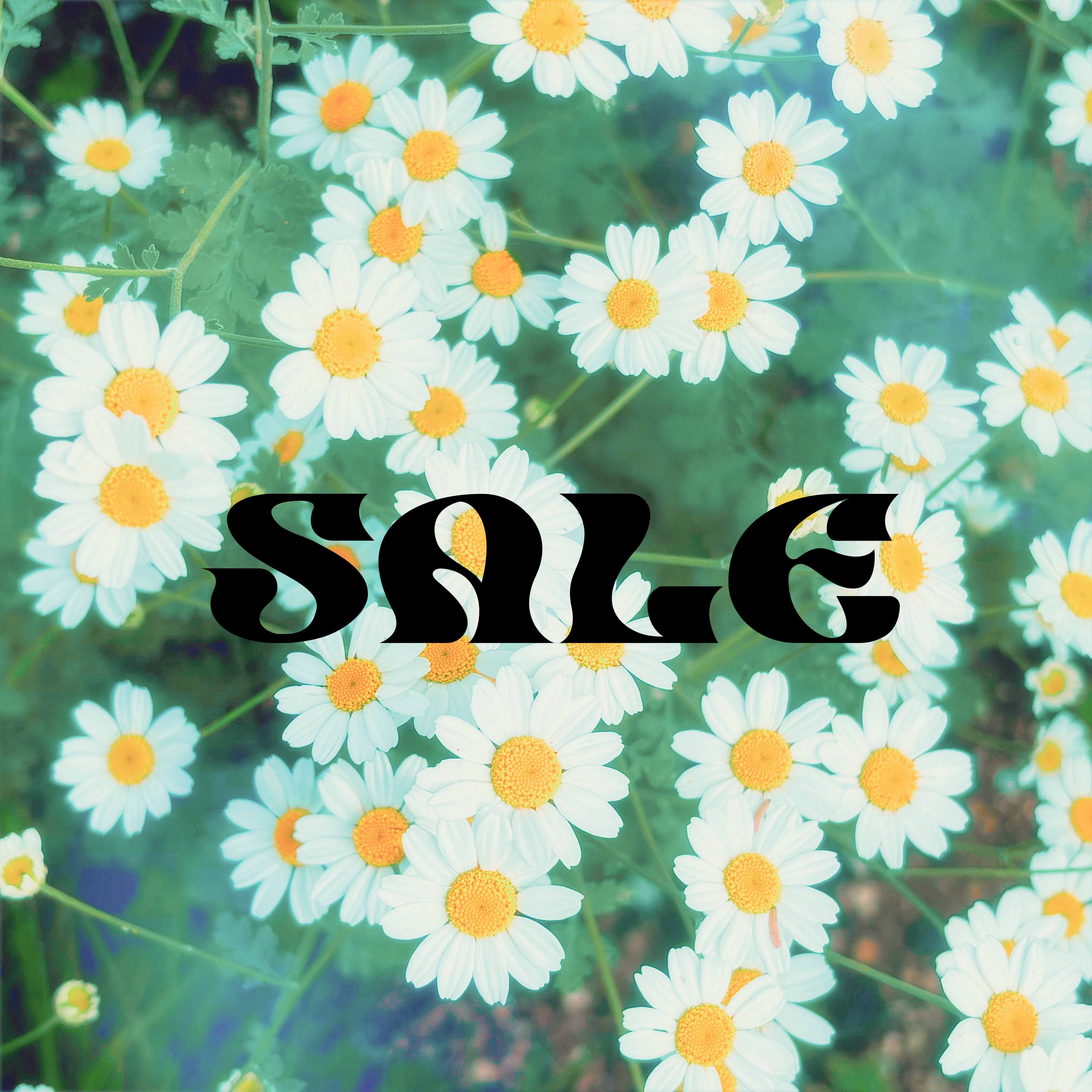 サマーセール🔆20%OFFクーポン配信