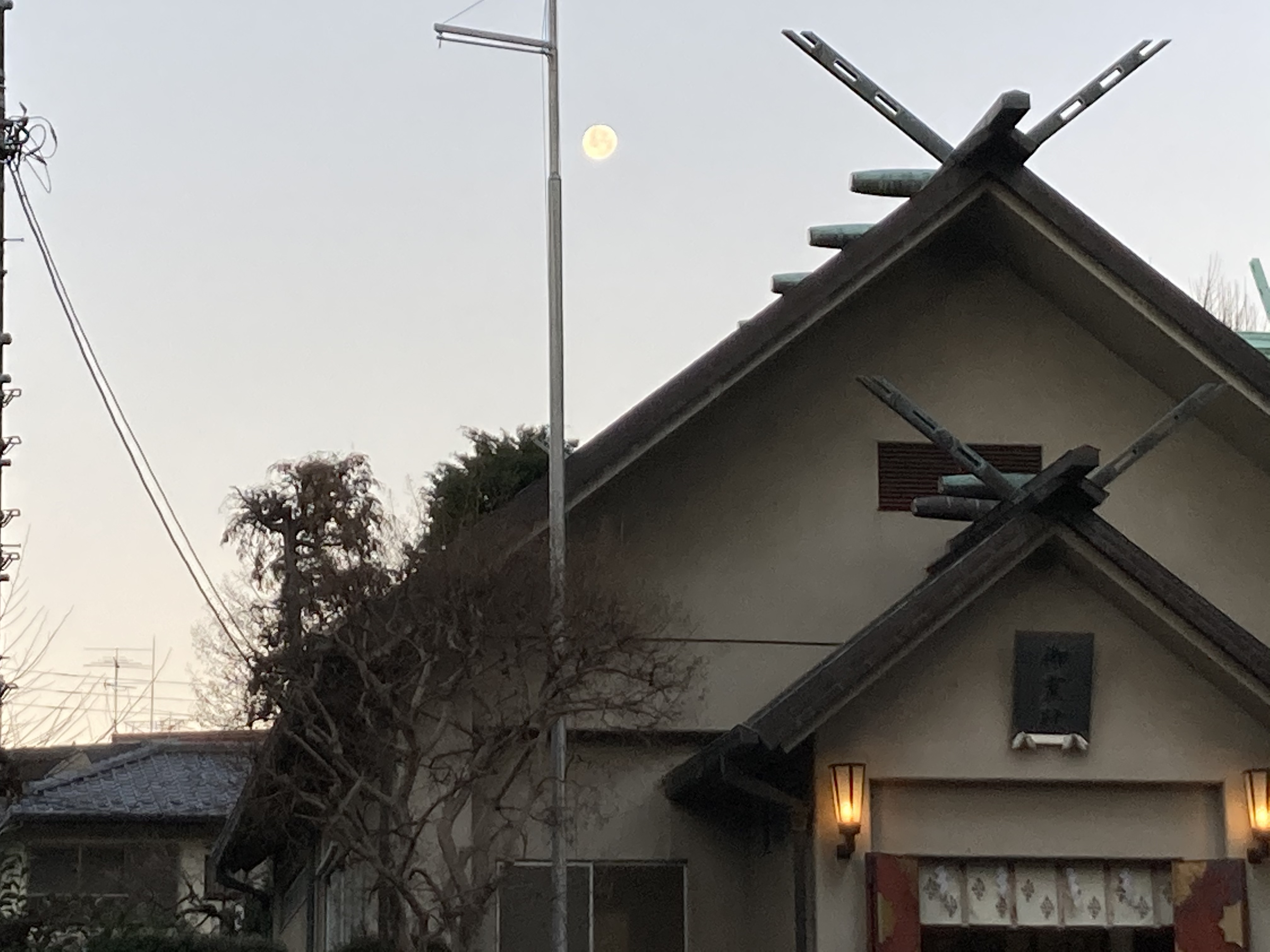 本年モー🐮よろしくお願い申し上げます。andいつもは何をしてる人？について