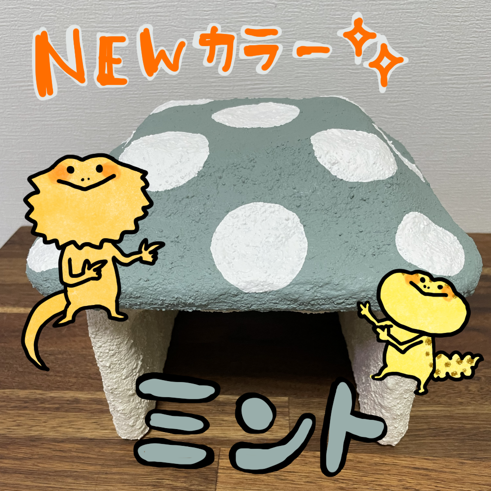 商品追加☆きのこ型シェルター新色でました