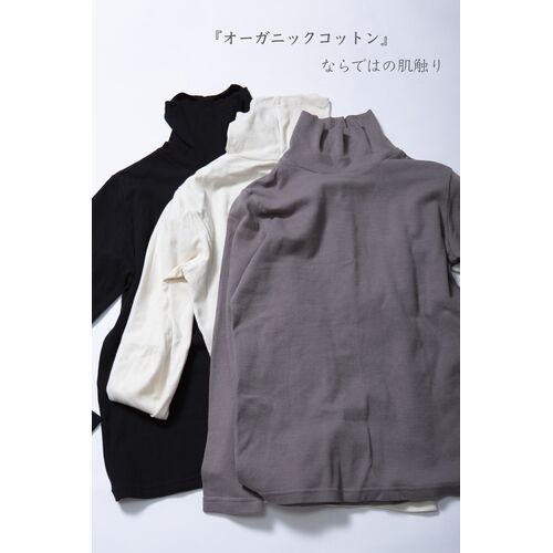 本日、新作入荷！