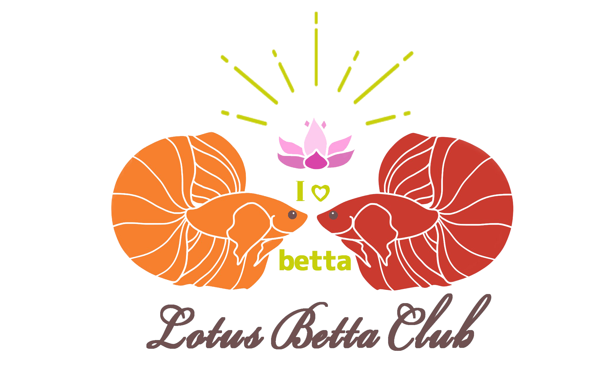 Lotus Betta Clubへようこそ！