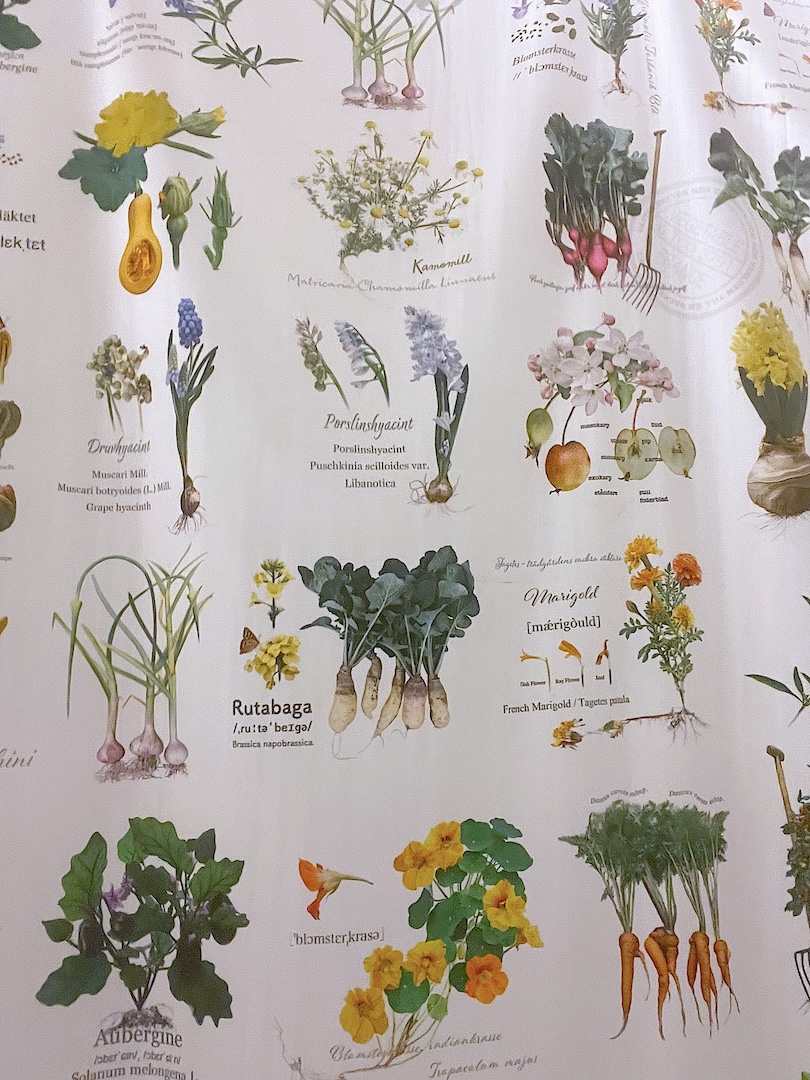 わたしたちの菜園