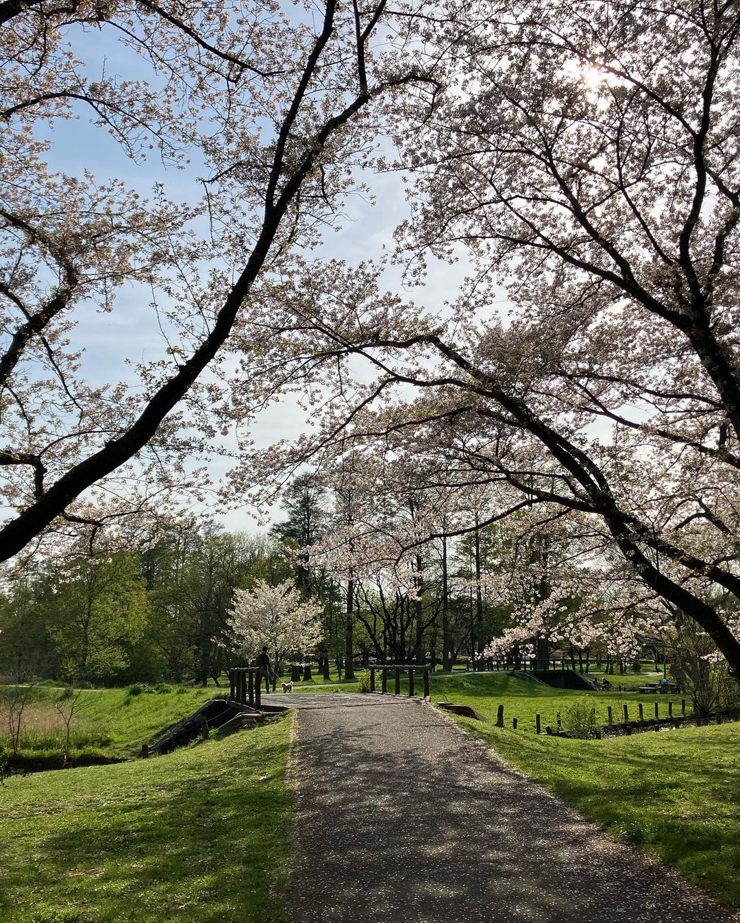 ARAKAWA ii VILLAGE こんにちは、スタッフchiekoです。