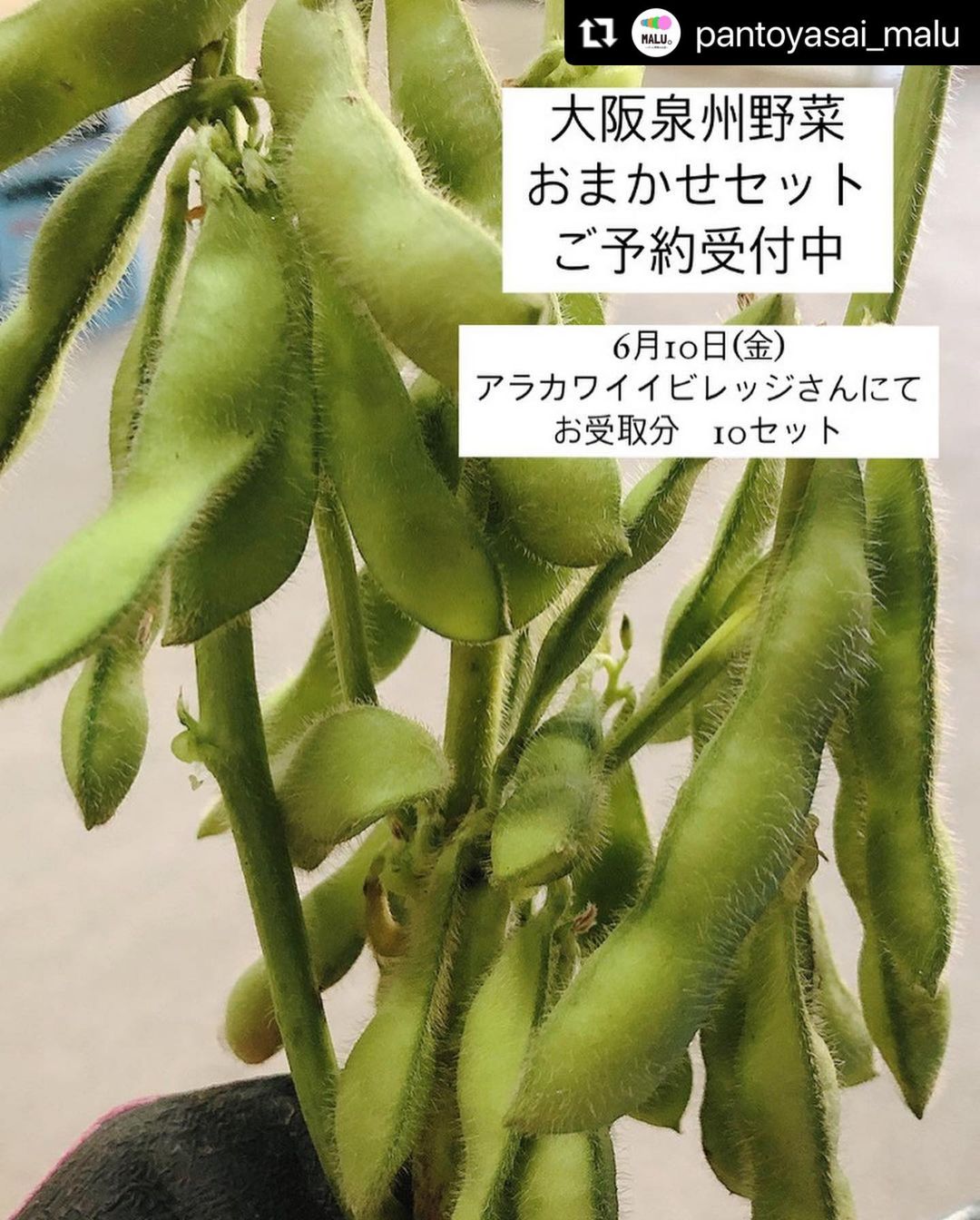 ARAKAWA ii VILLAGE ／ お野菜セット 6/10到着分 絶賛予約受付中です！ ＼