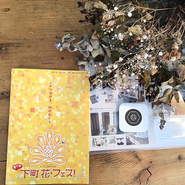 ARAKAWA ii VILLAGE 10月1日からは、ついにお待ちかねの下町🌸花フェス！