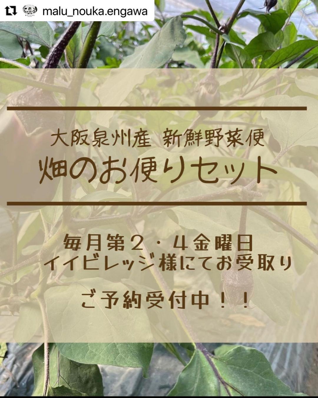 RAKAWA ii VILLAGE 美味しく旬を味わう、畑のお便りセット！ お得な定期便はじめます！
