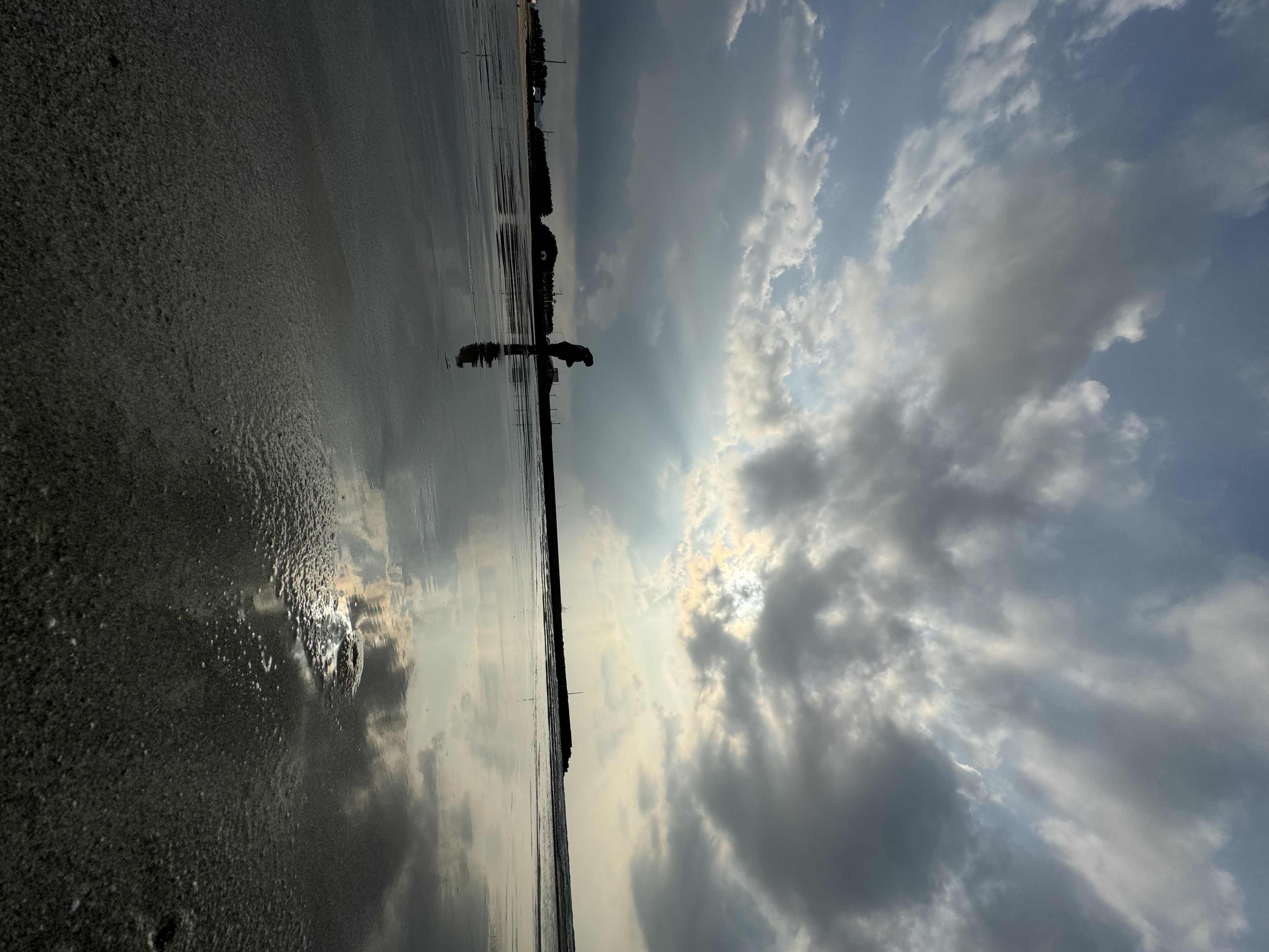 お久しぶりです