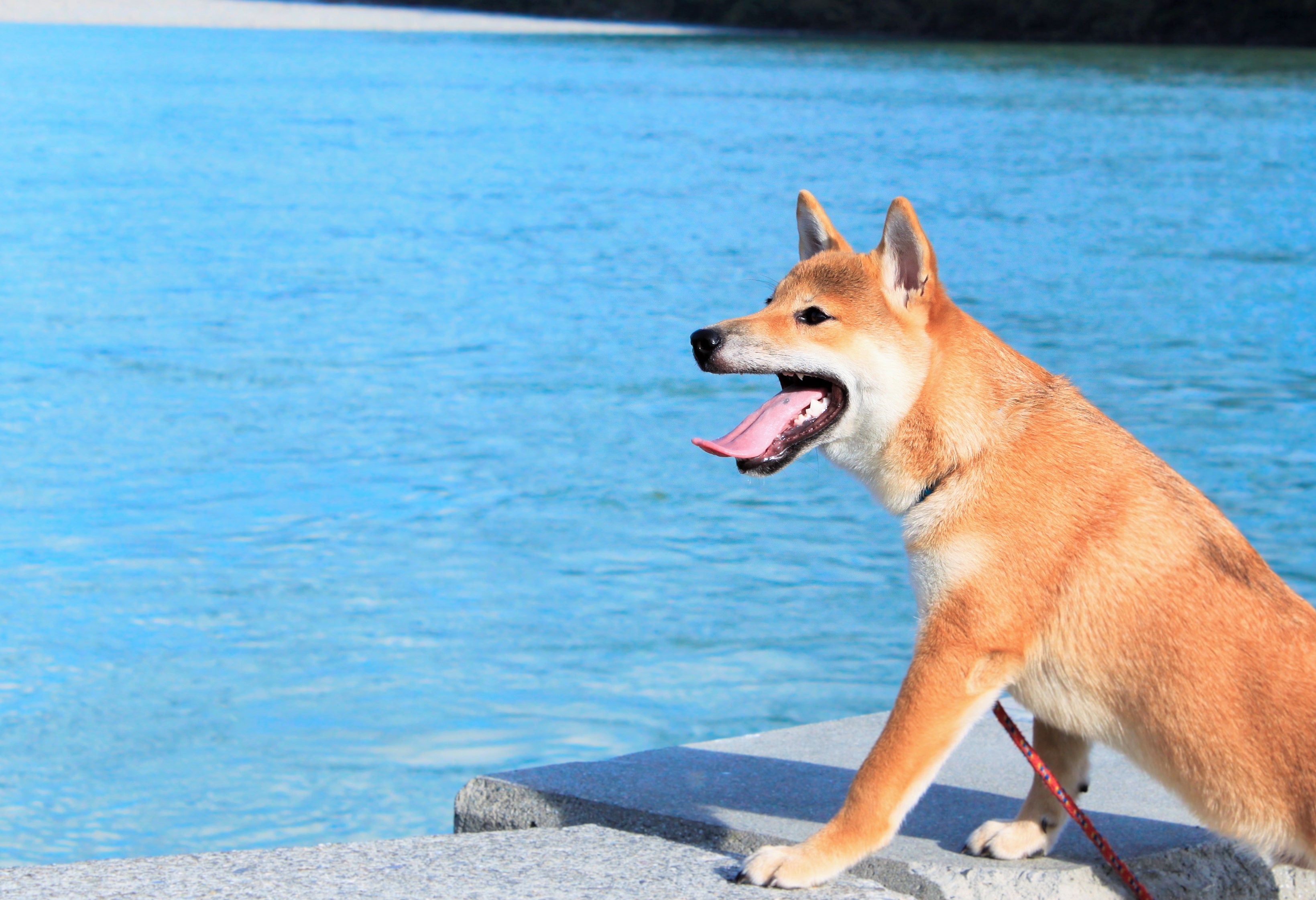 もしかして私だけ？夏の足のべたつき・臭いの本当の原因とは