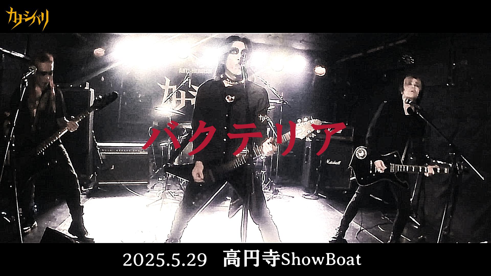 バクテリア - Live at Koenji ShowBoat  / 2025.5.29