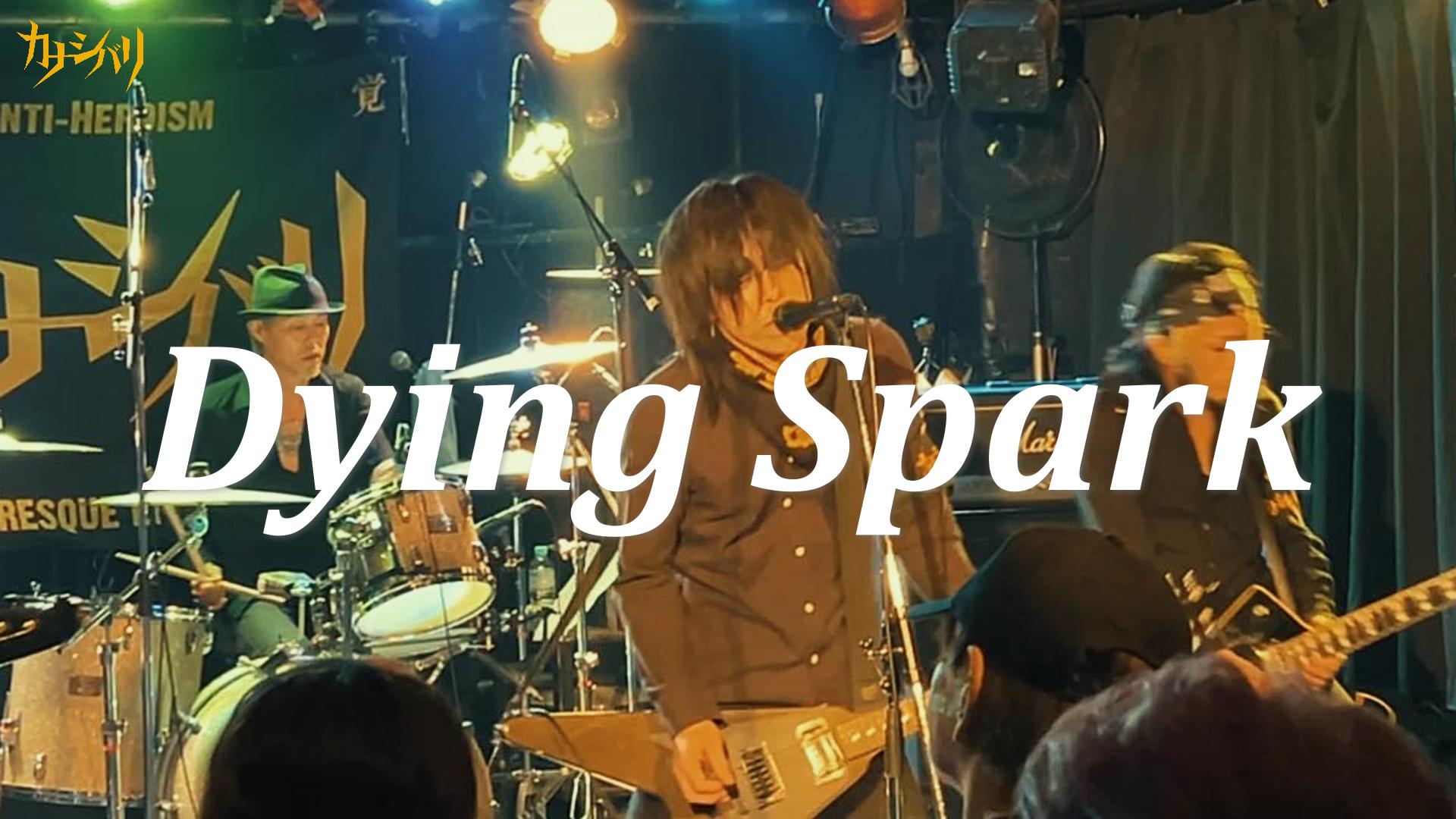Dying Spark - Live at Koenji ShowBoat / 2026.7.20