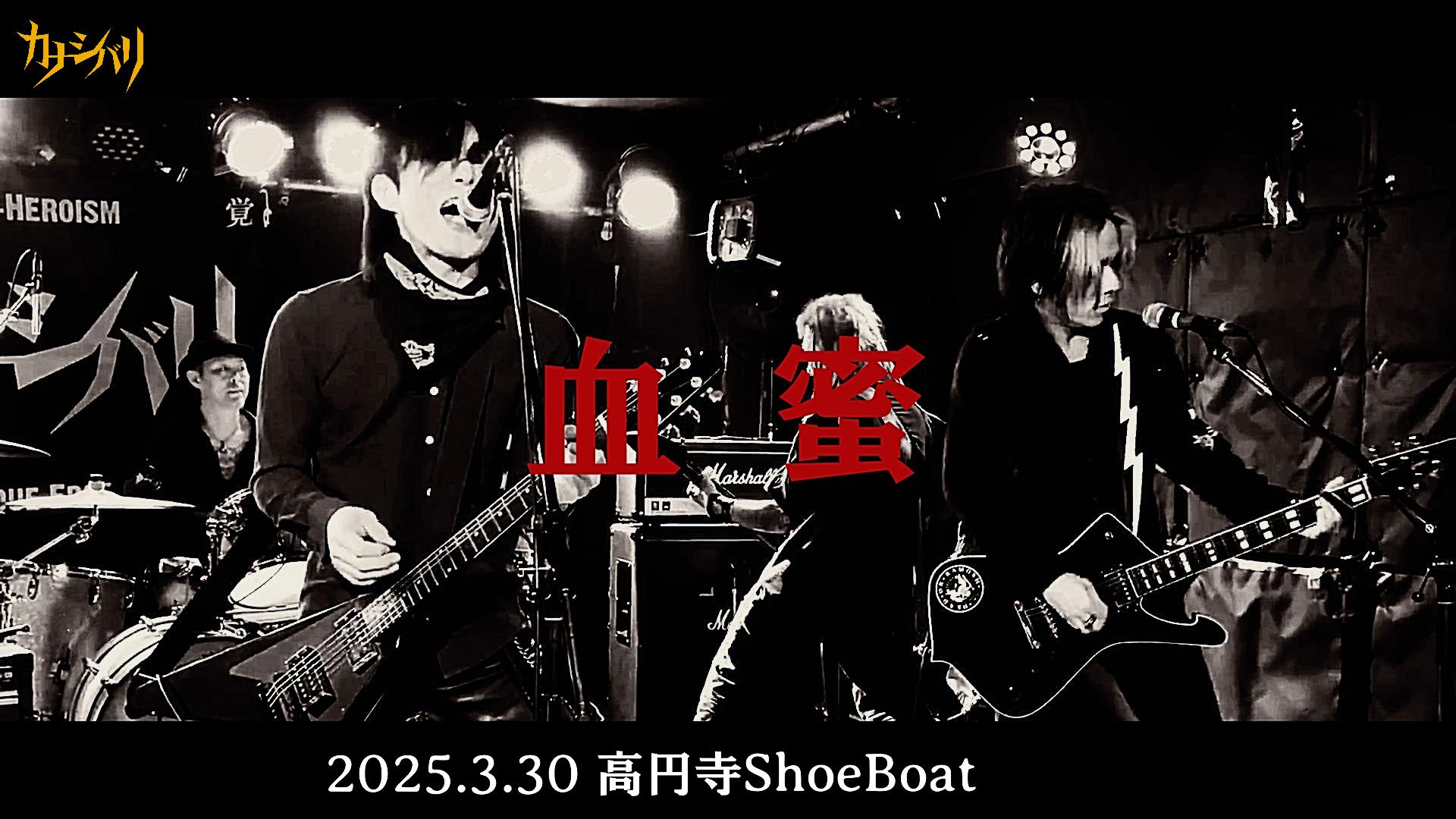 血蜜 - Live at Koenji ShowBoat  / 2025.3.30