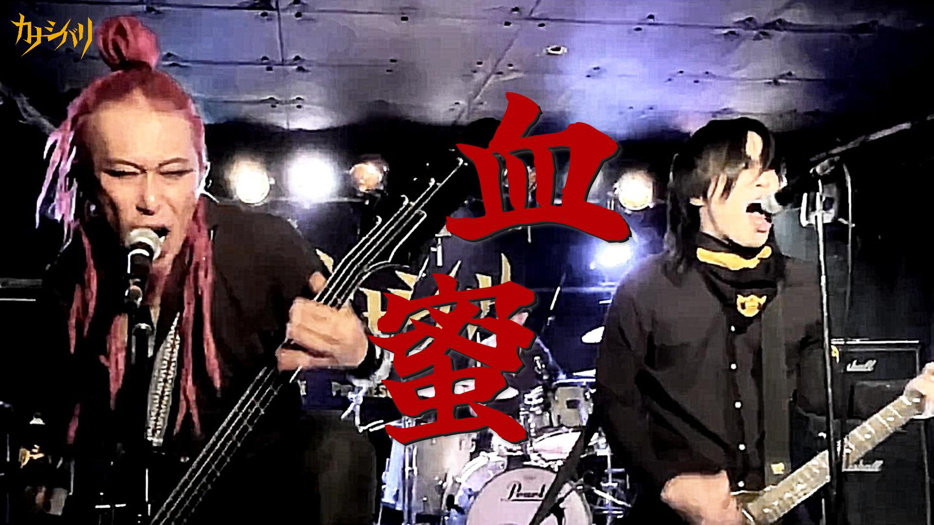 血蜜 - Live at Koenji ShowBoat / 2025.9.19