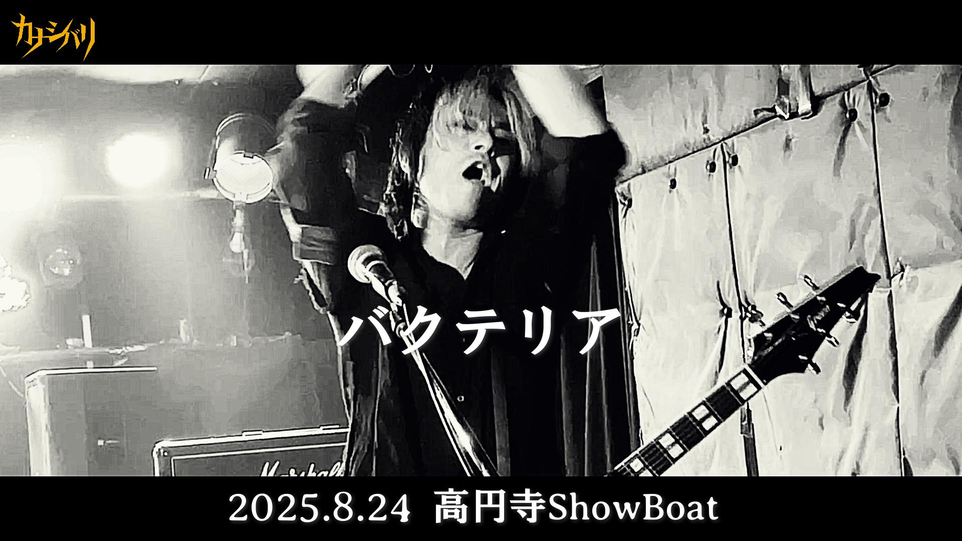 バクテリア - Live at Koenji ShowBoat  / 2025.8.24