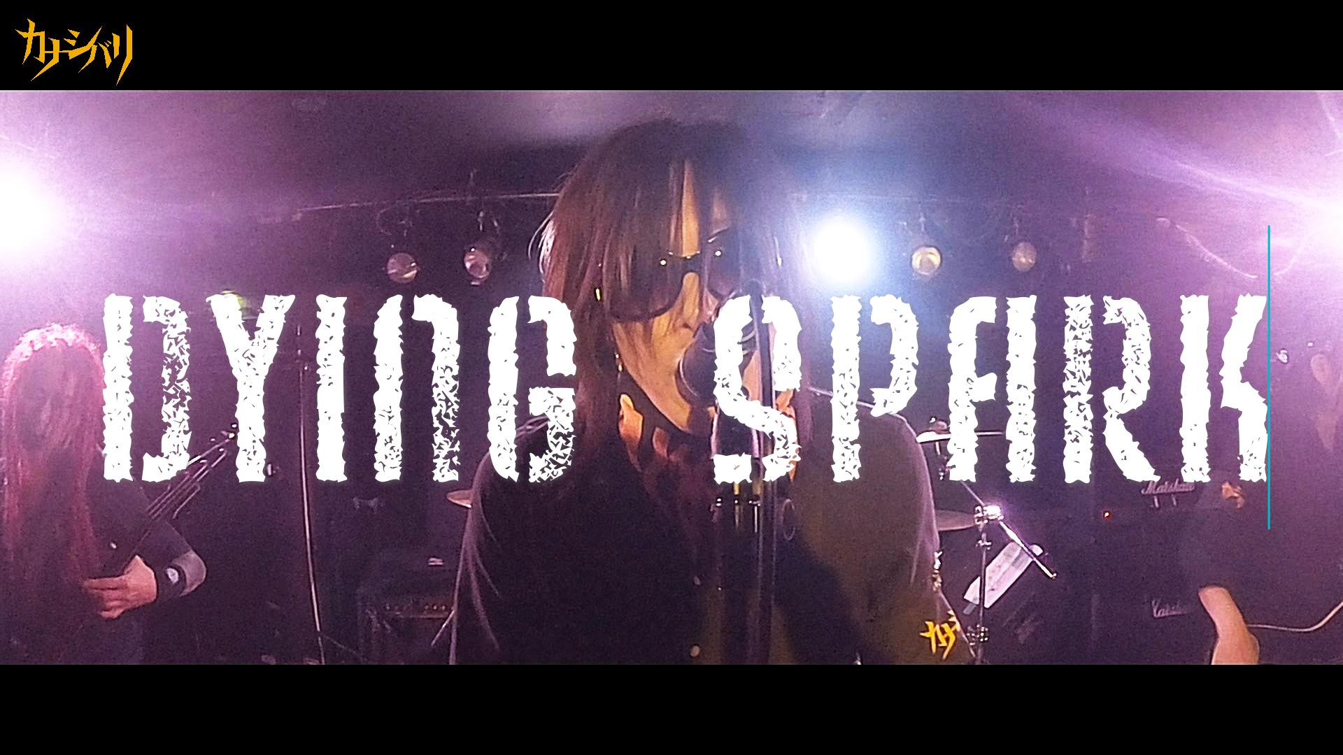 Dying Spark - Live at Waseda ZONE-B  / 2026.6.7