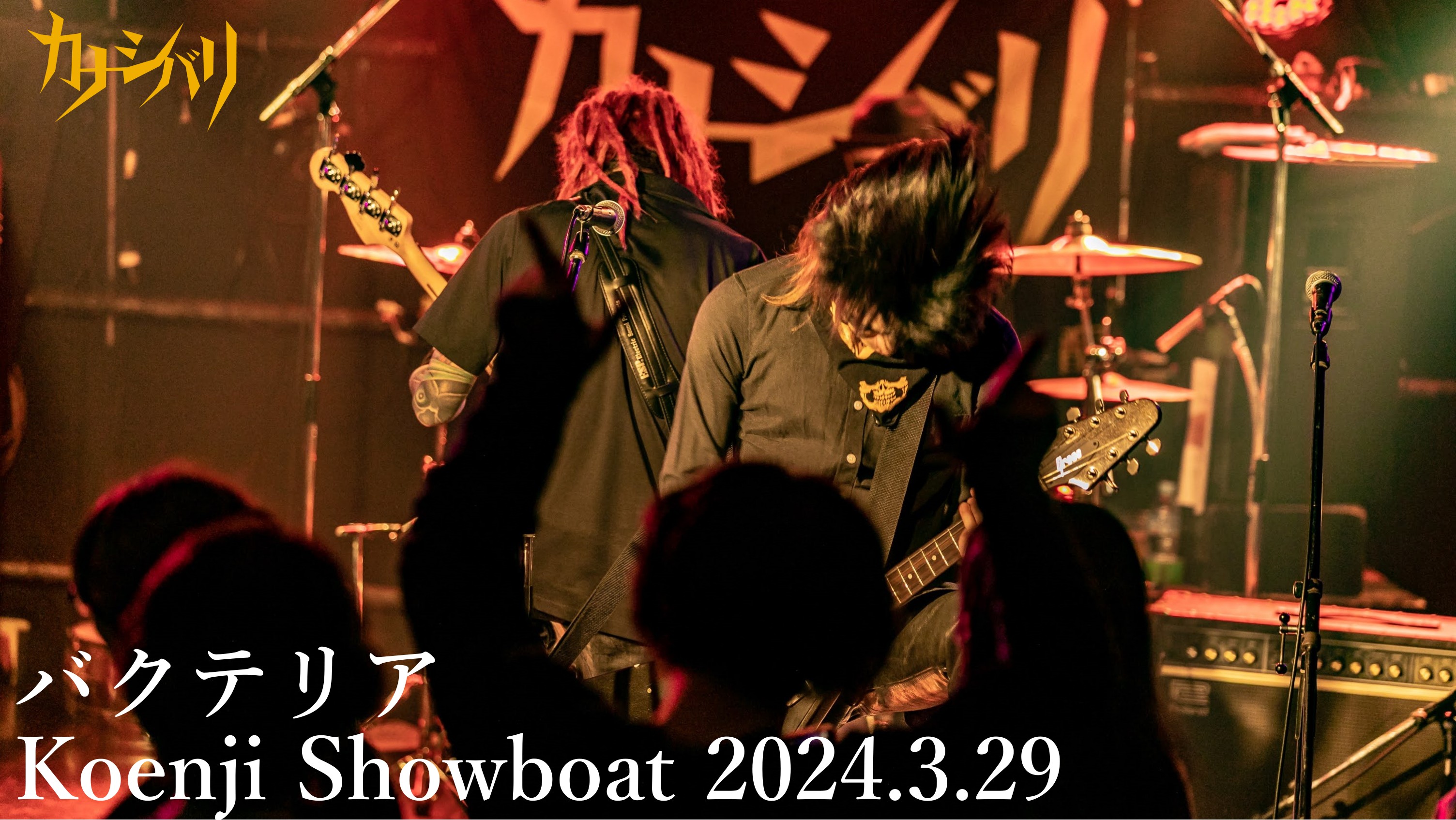 バクテリア - Live at Koenji Showboat / 2024.3.29
