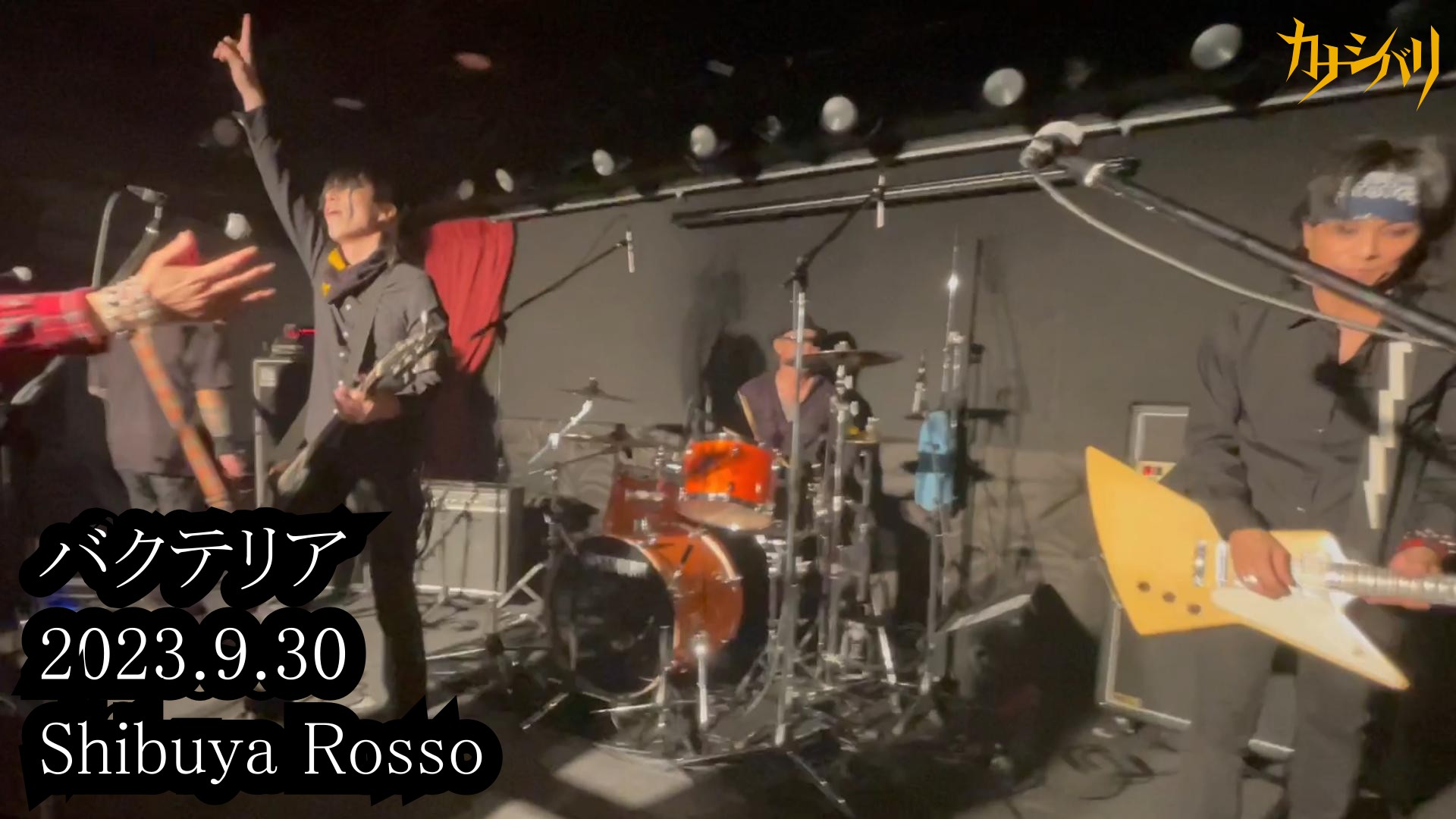 バクテリア - Live at Shibuya Rosso / 2023.9.30