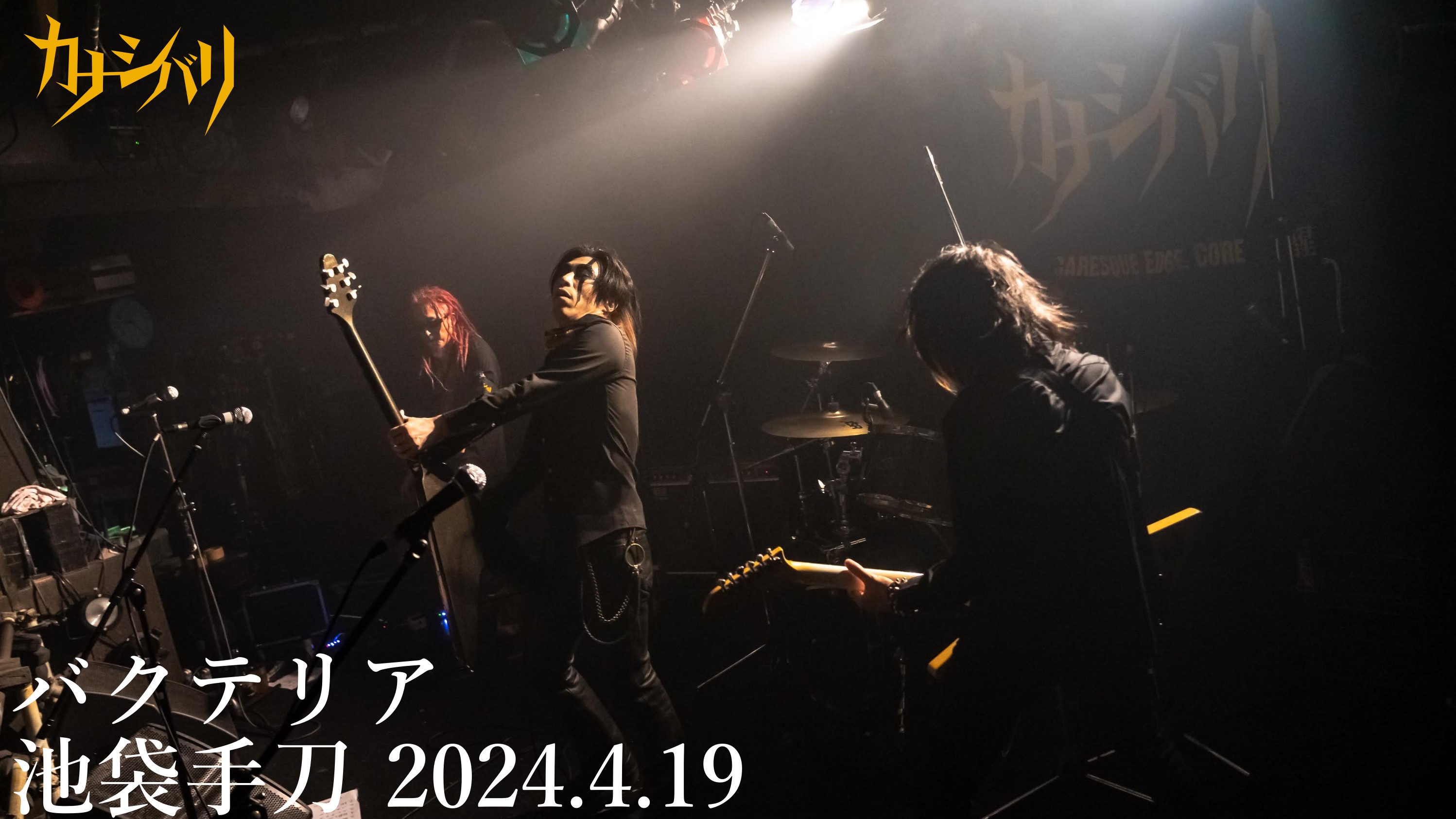 バクテリア - Live at Ikebukuro Chop / 2024.4.19