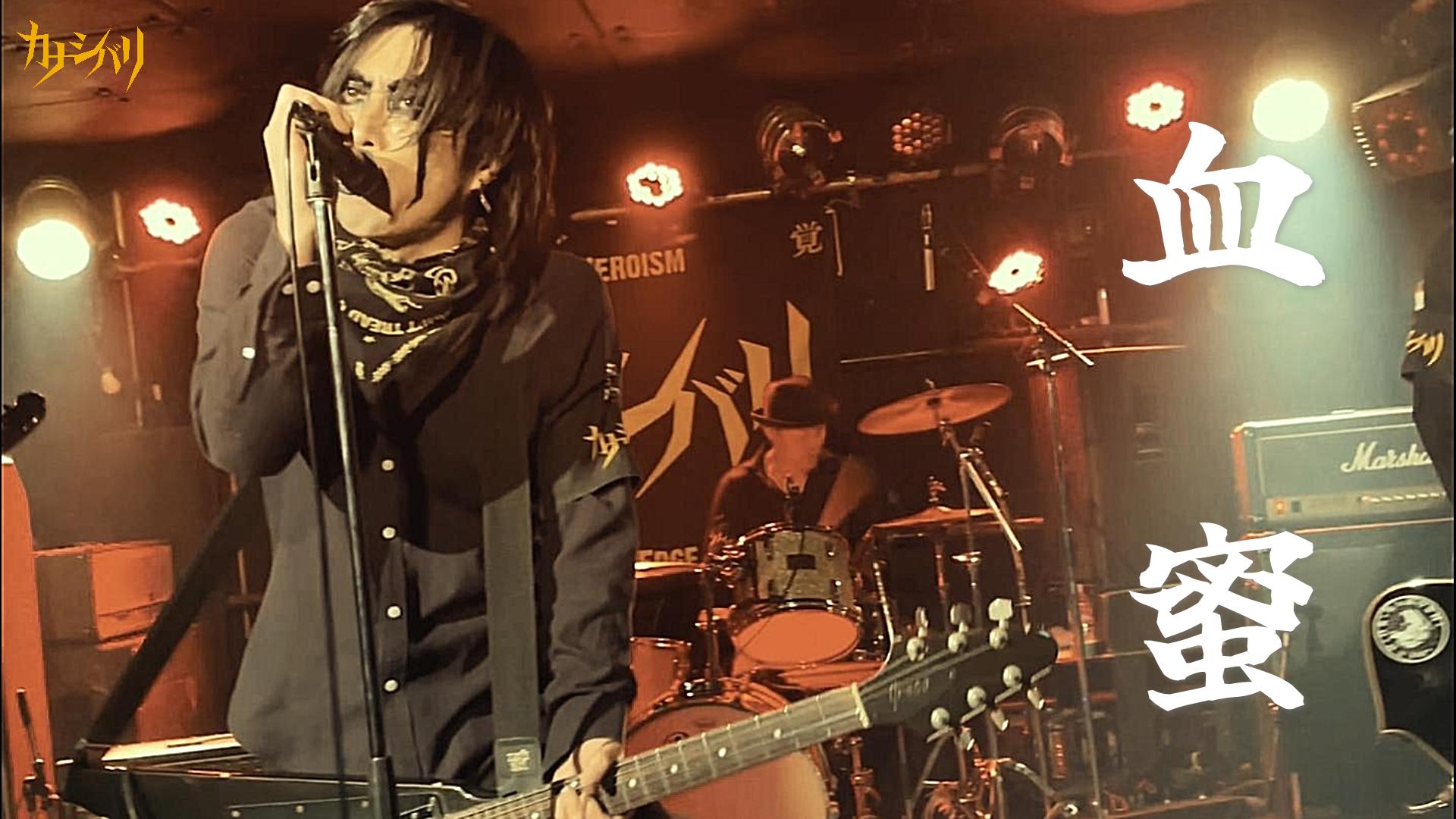 血蜜 - Live at Koenji ShowBoat  / 2025.11.22