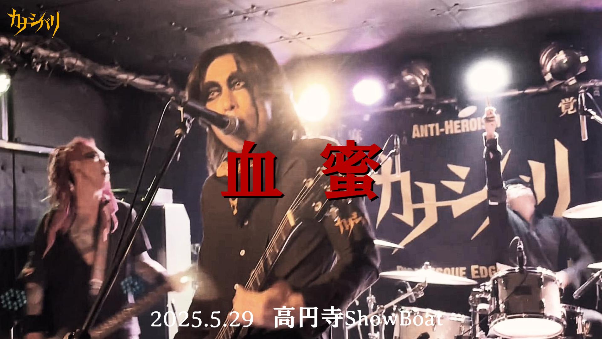 血蜜 - Live at Koenji ShowBoat  / 2025.5.29