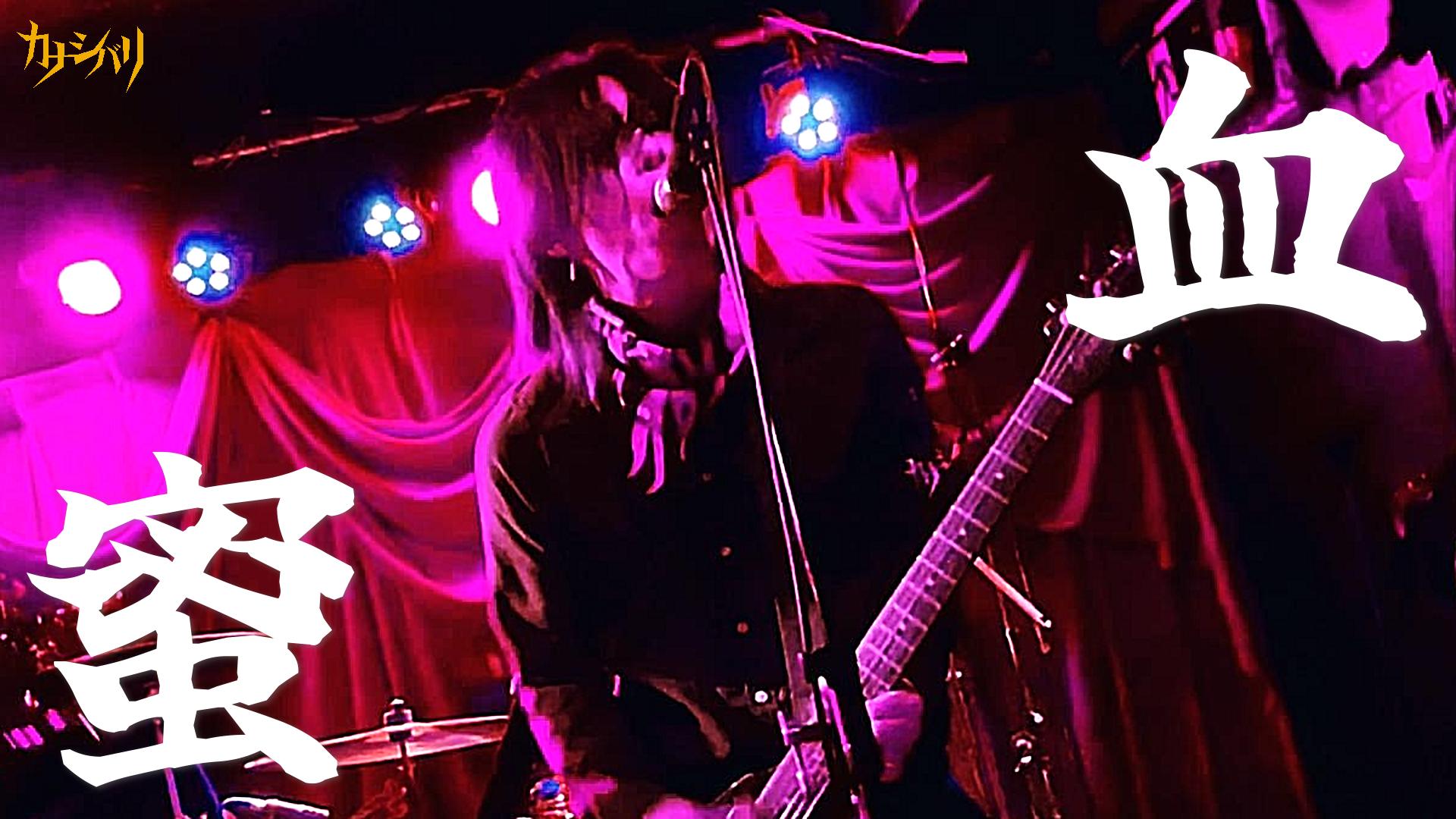 血蜜 - Live at Hatagaya Heavy Sick  / 2025.9.27