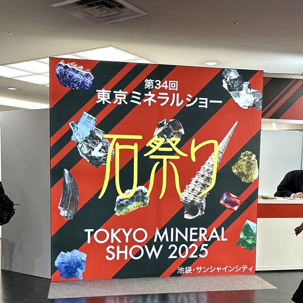 東京ミネラルショー2025石祭りに行ってきました