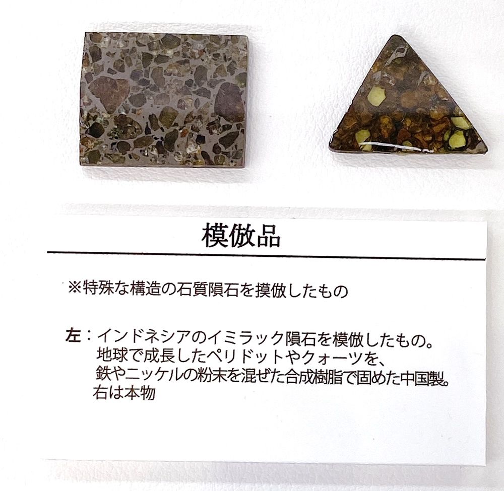 隕石の偽物が特別展示（東京ミネラルショー2023）