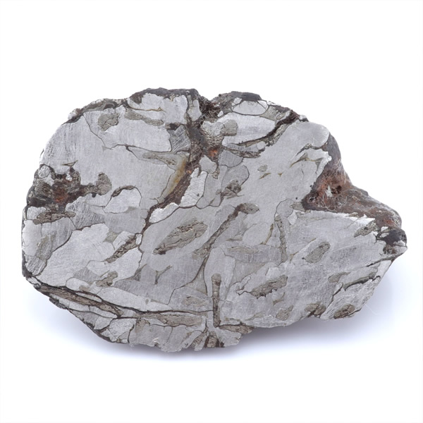 鉄隕石4種を入荷しました(カンポデルシエロ、ムオニオナルスタ、キャニオンディアブロ、マンドラビラ)