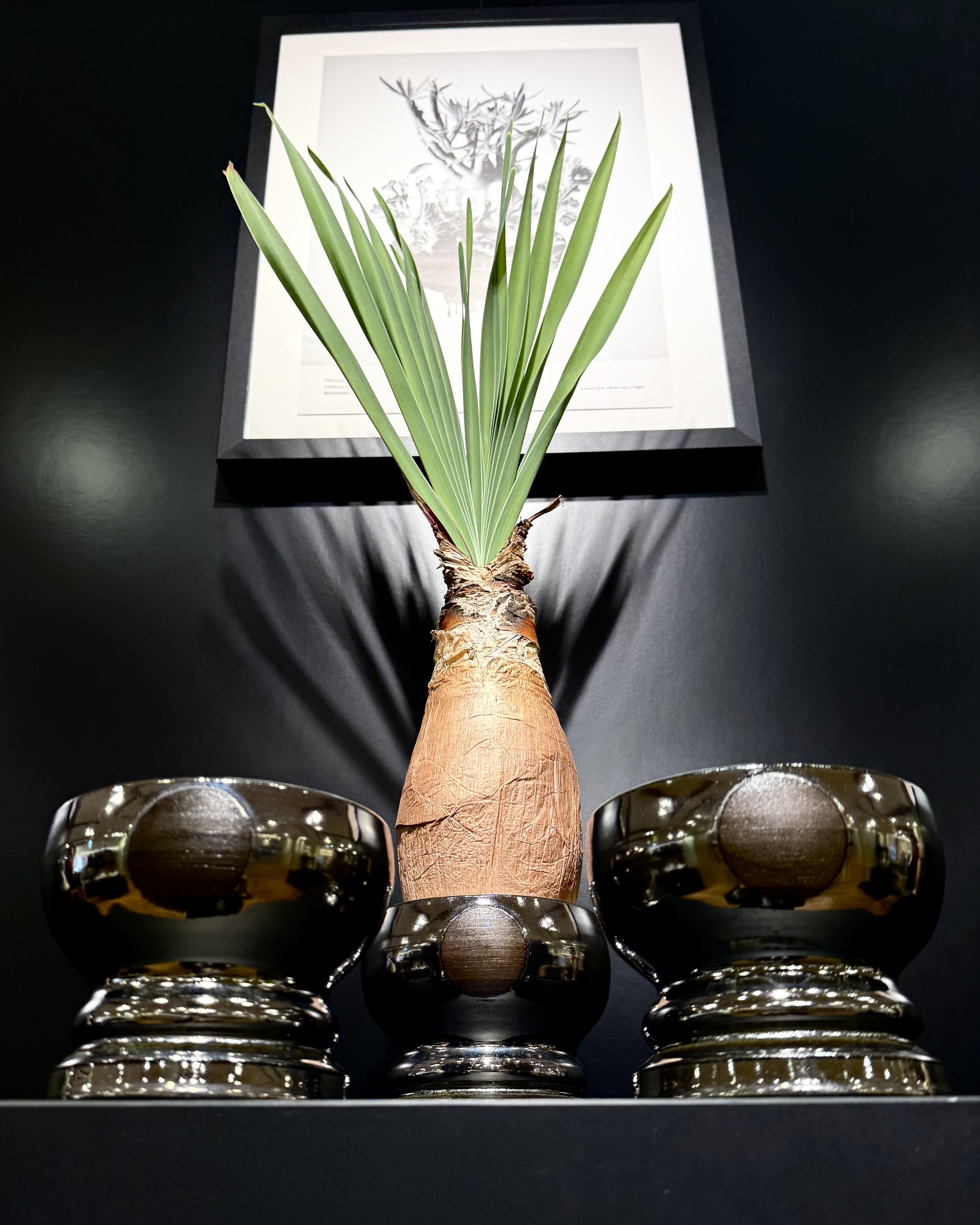 【 謹賀新年 】