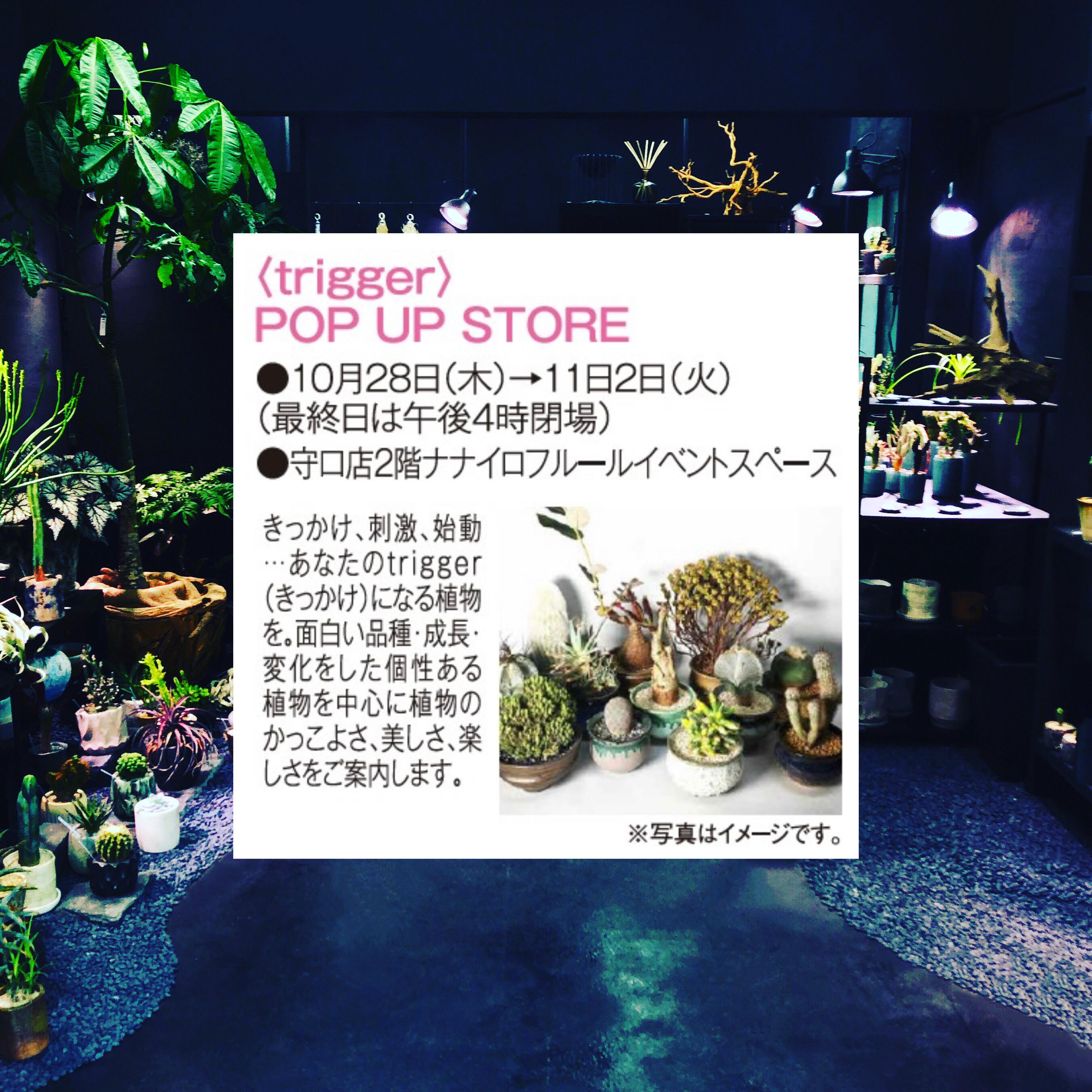 ⁡ POP UP STORE【 京阪百貨店 】10/28〜11/2