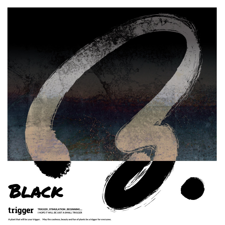 【Exhibition BLACK】5/1(Wed)20:00〜