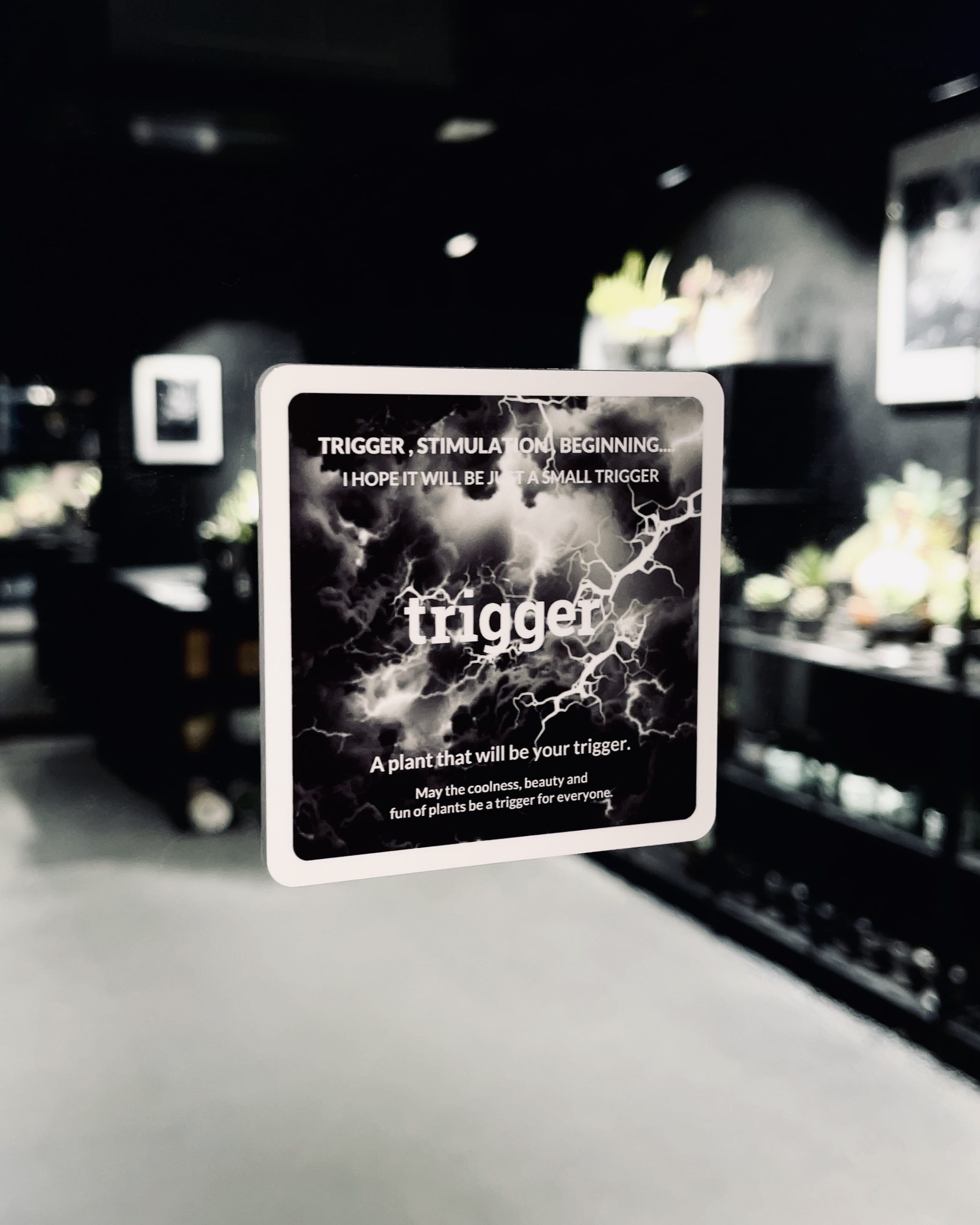 【 マツコ&有吉 かりそめ天国 】 2/13(金)20:00〜