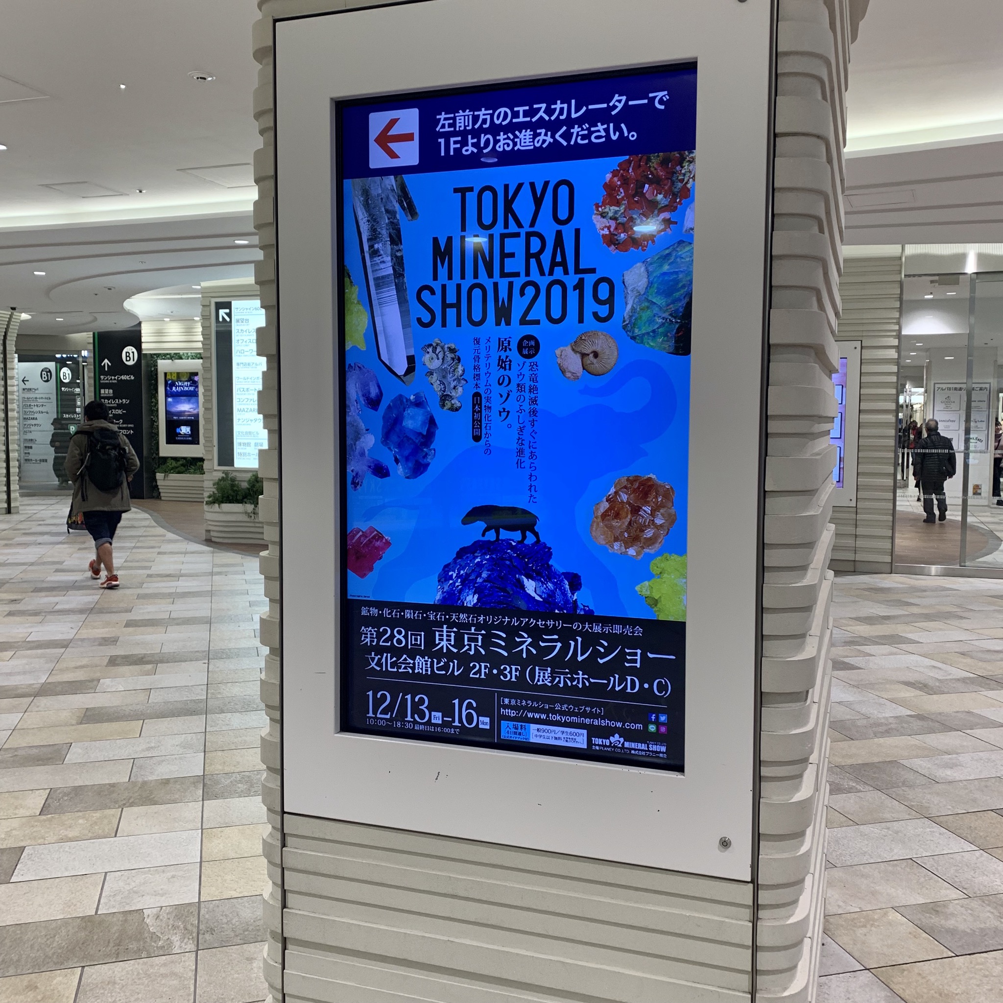 東京ミネラルショー2019(池袋)