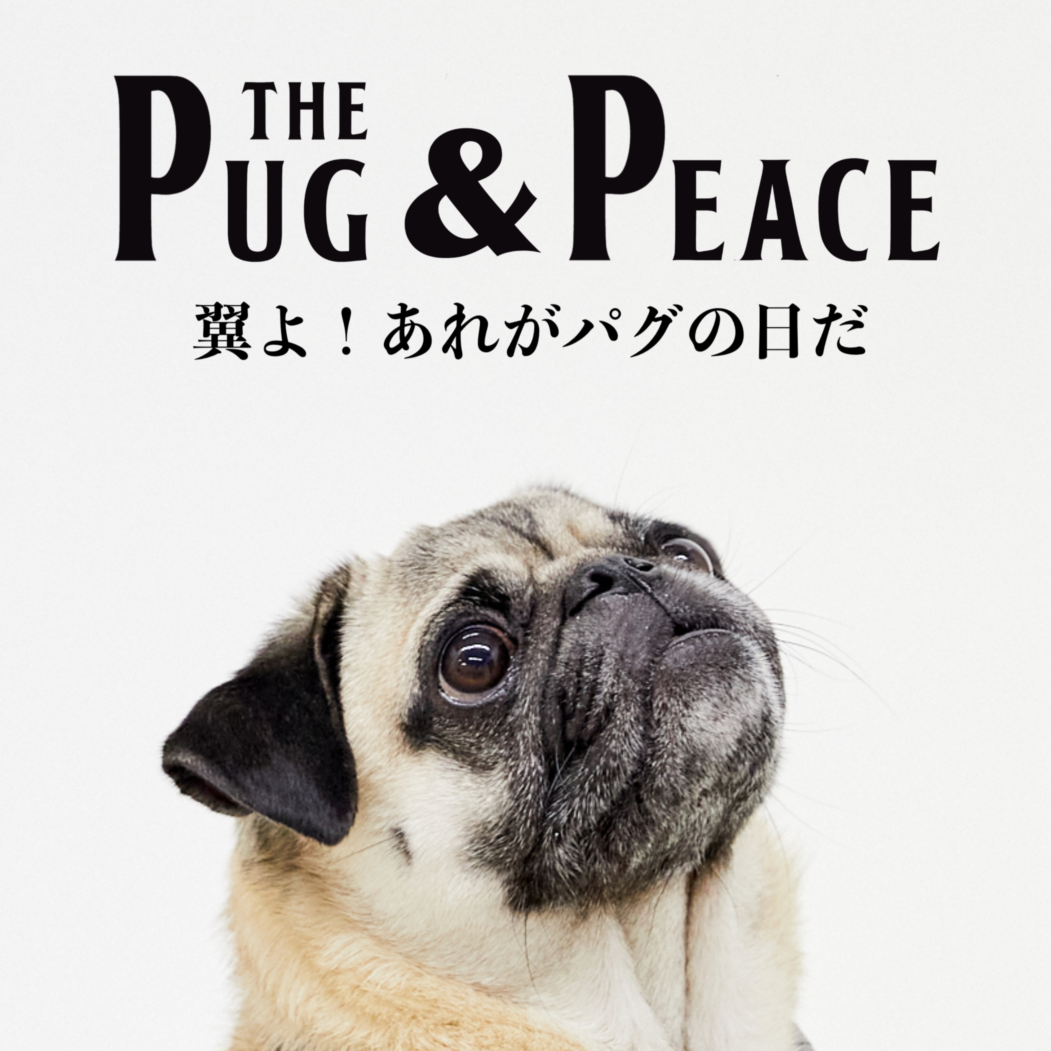 The Pug & Peace 各種配信サイトてデビュー！