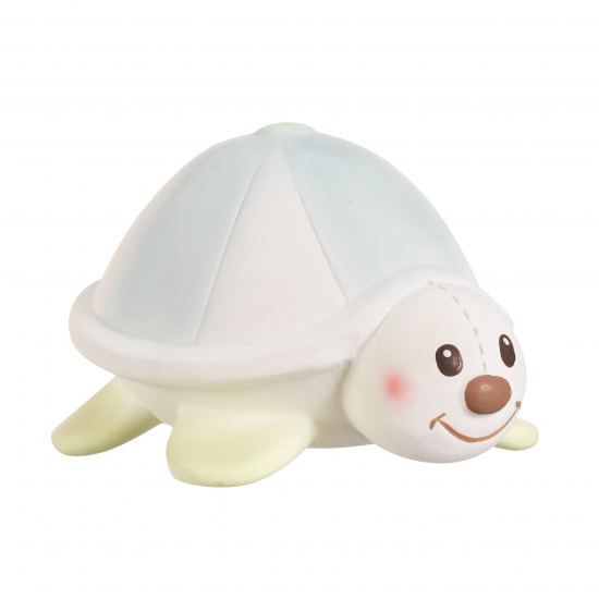 かめのマーゴ。。。