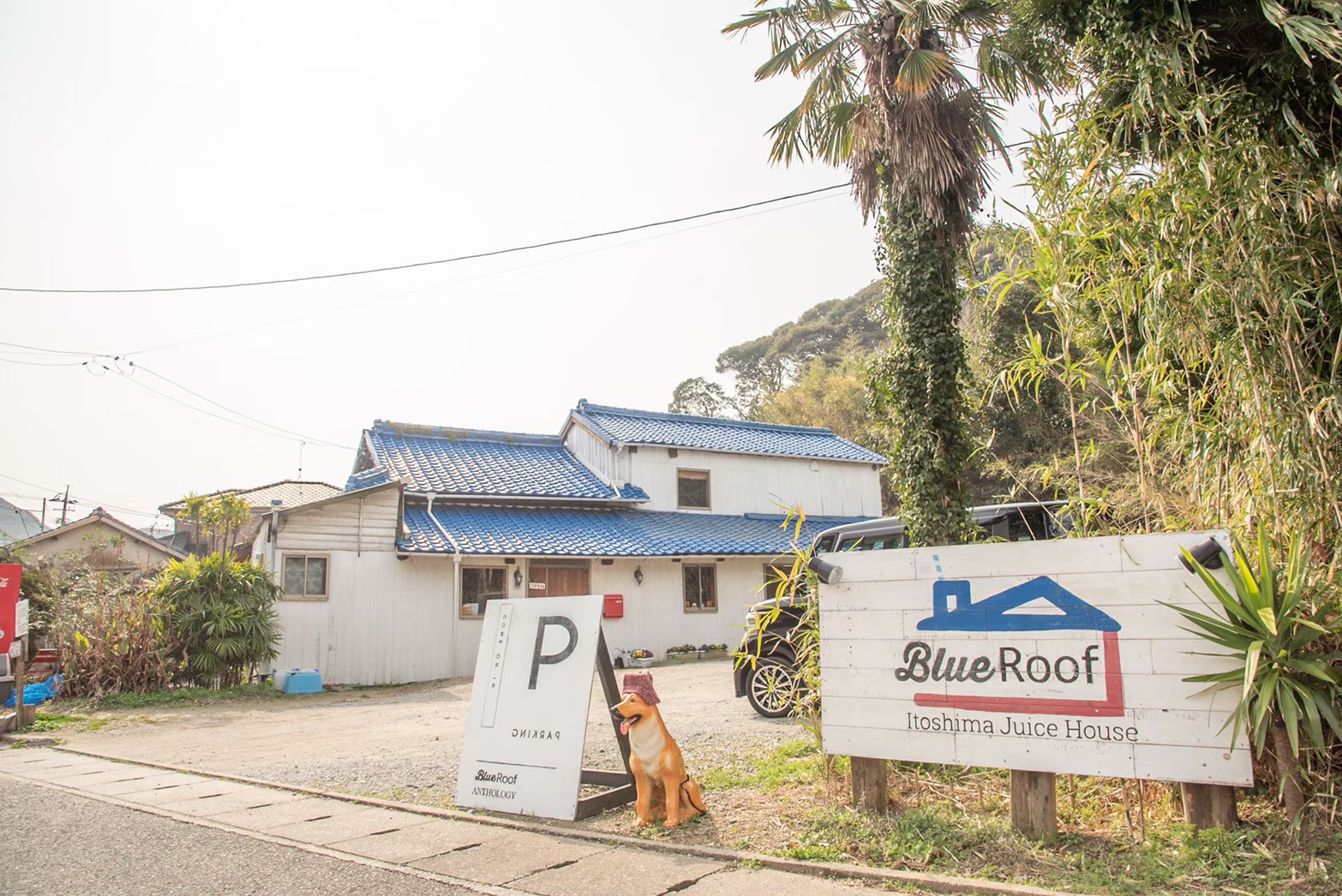 糸島ジュースハウス  Blue Roof