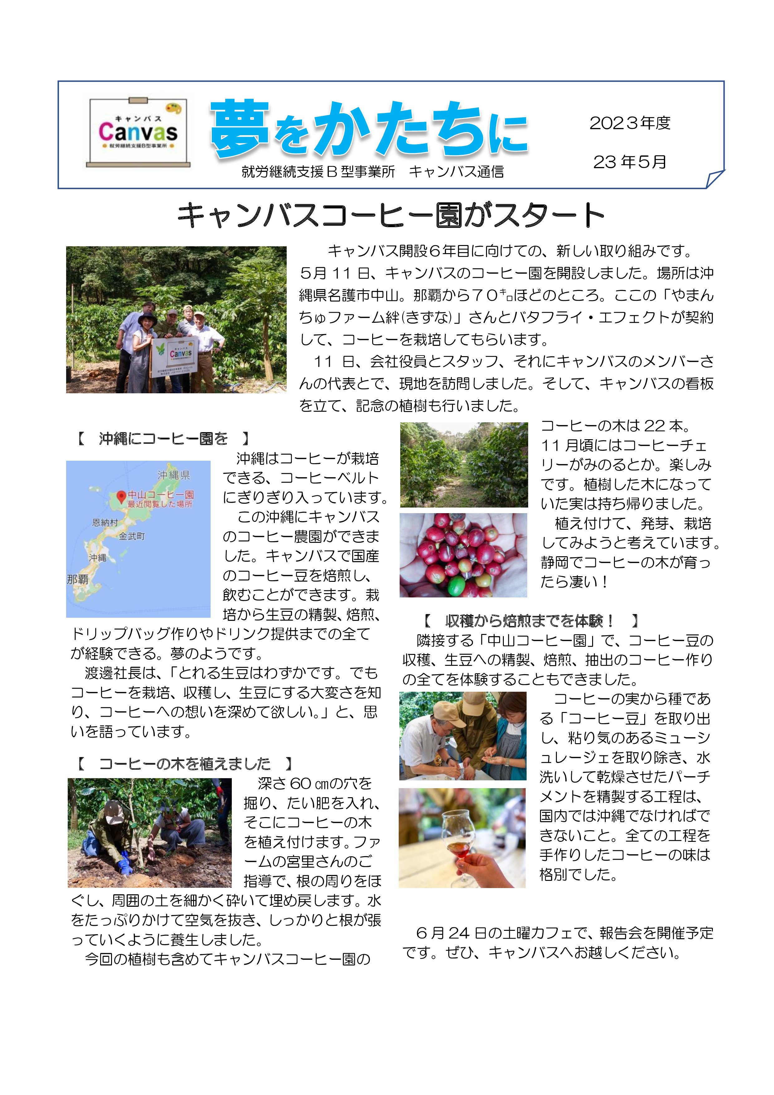 キャンバス通信(2023年5月号) 沖縄にキャンバスのコーヒー園を！