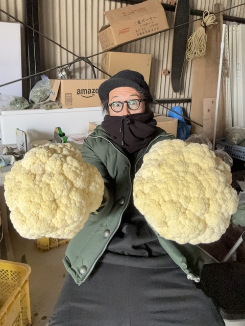 カリフラワーとブロッコリー