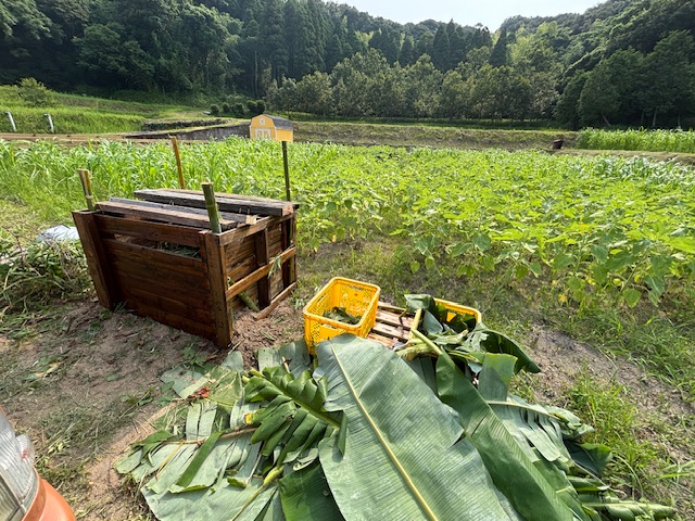 とうもろこしの部屋と発酵堆肥づくり