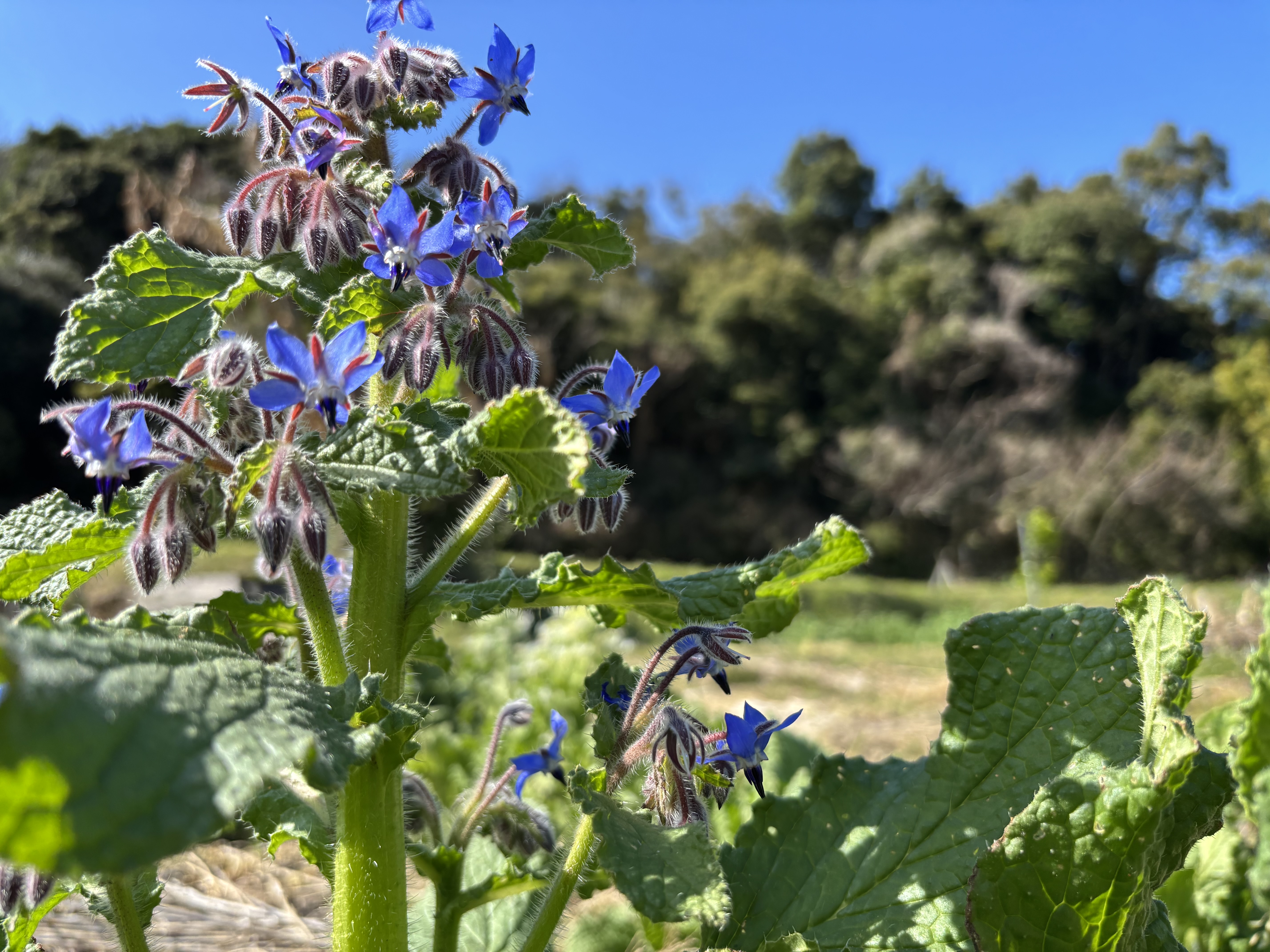 農園にも春の兆し