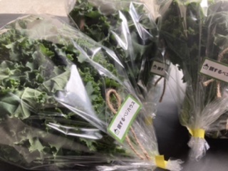 ケール出荷開始します