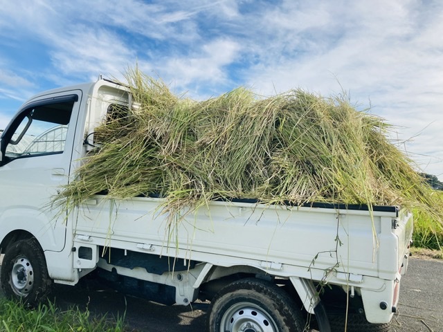 本日の作業