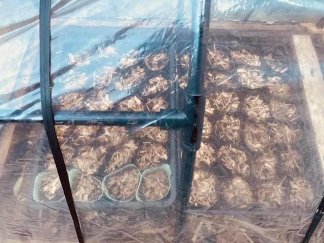 土が温暖化に貢献する？