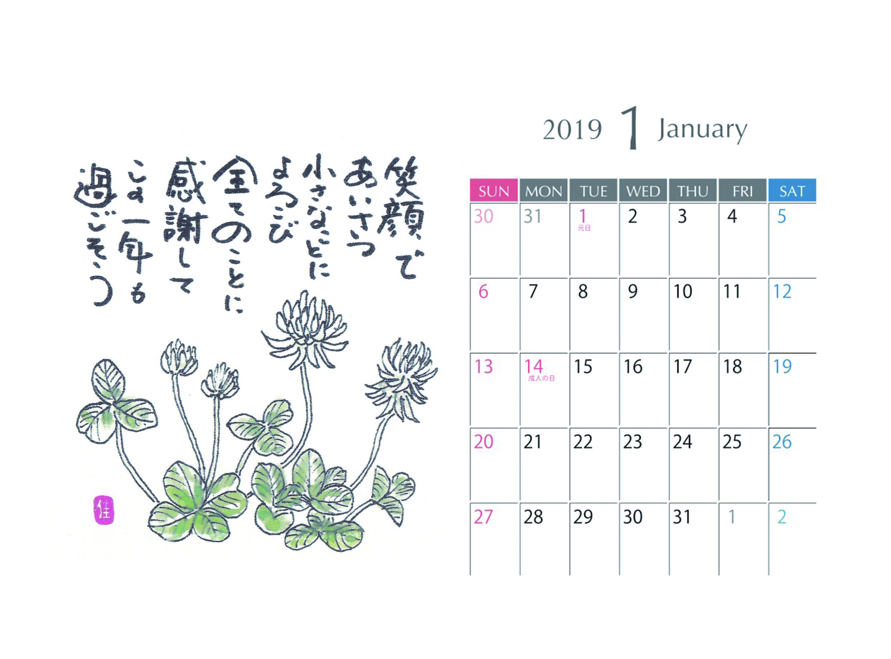 voleplus ヴォレプラス