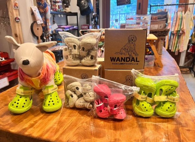 ワンちゃん用のサンダル【WANDAL(ワンダル)】が登場!🐶💗
