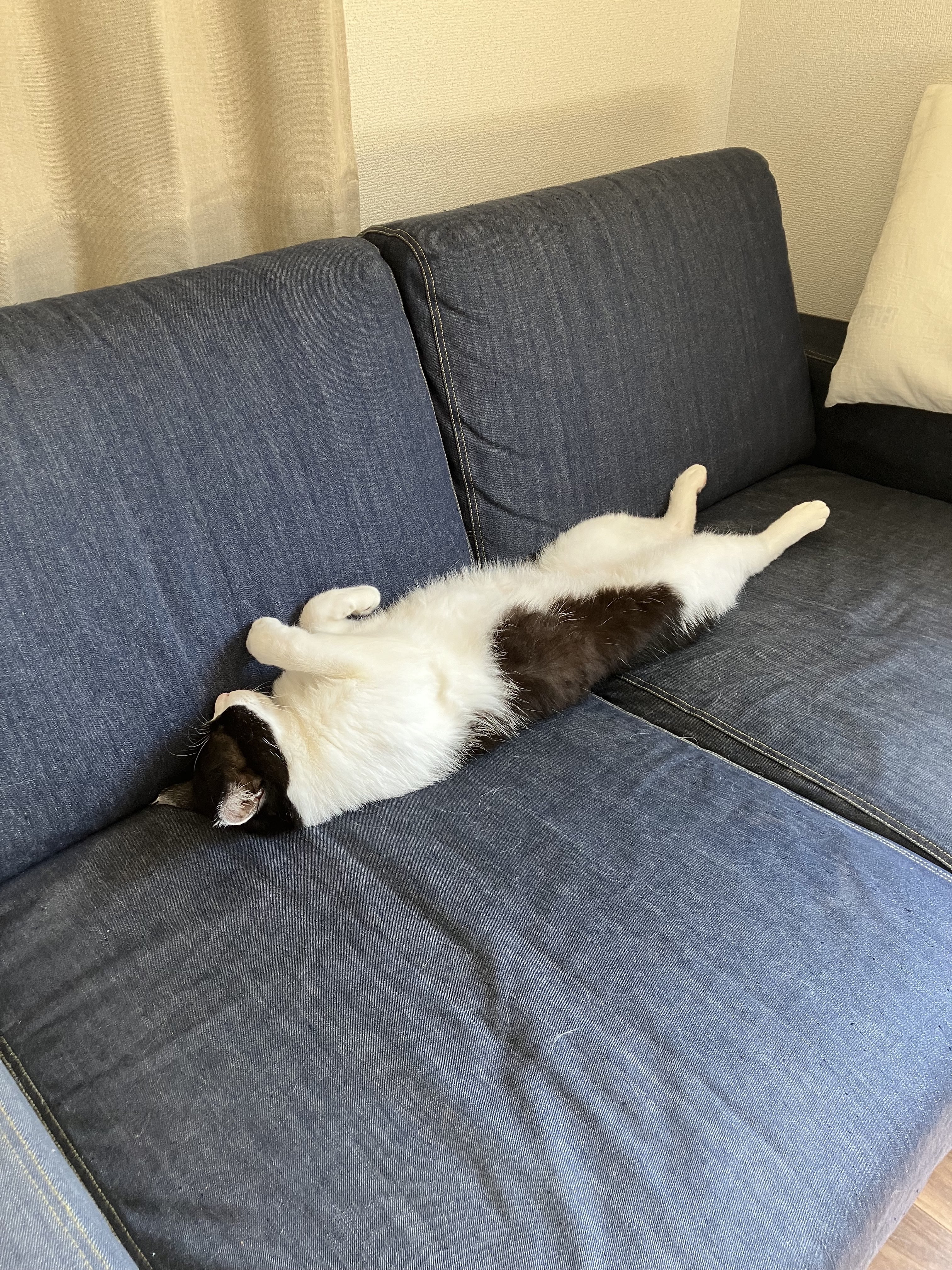 郵便局留め