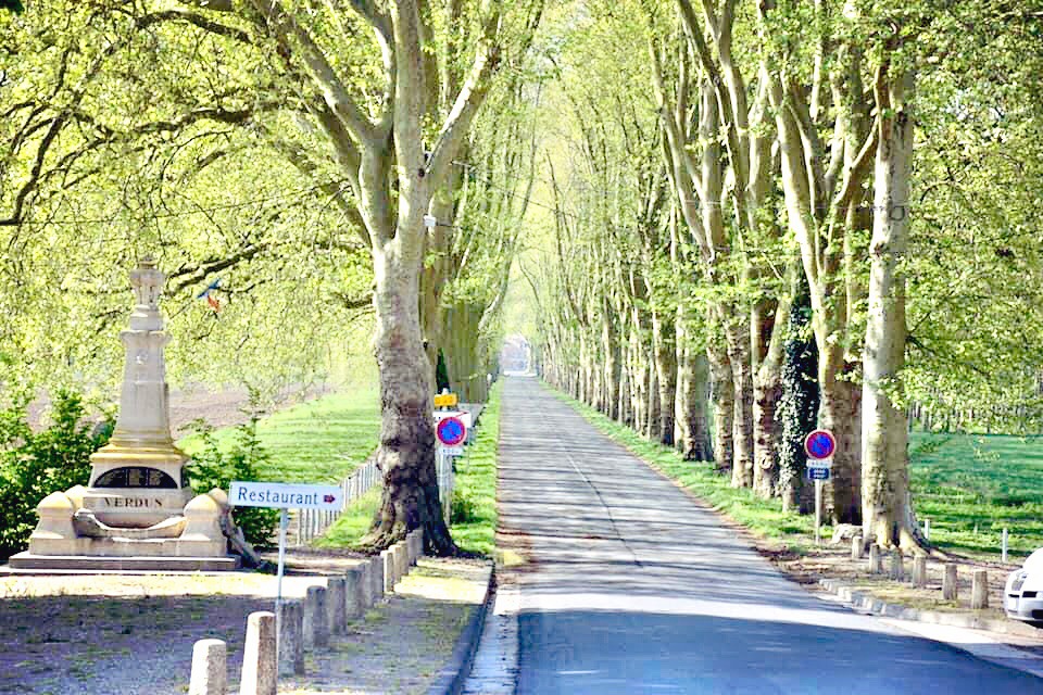 キャステルリエバの所在地ダムリー村