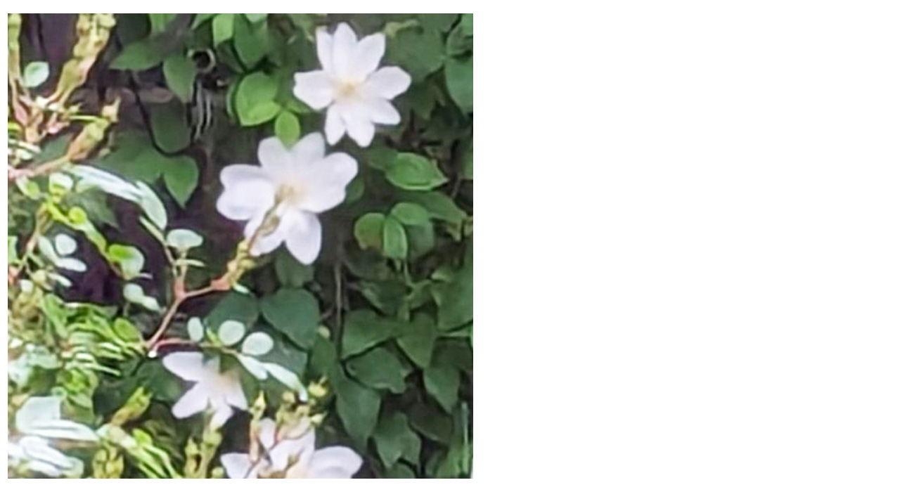 ＊作家プロフィール：michiko -atelier Jardin Vert-