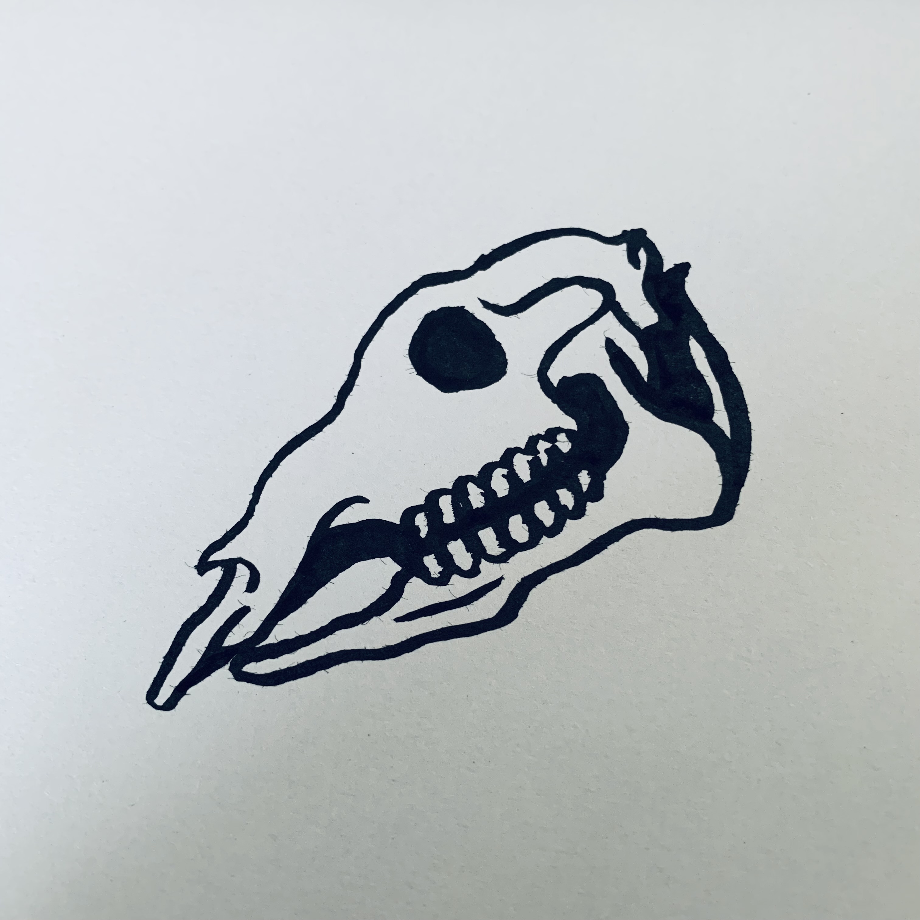 2026年　本年もよろしくお願い申し上げます。